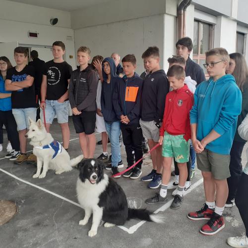 Schülergruppe mit Hunden